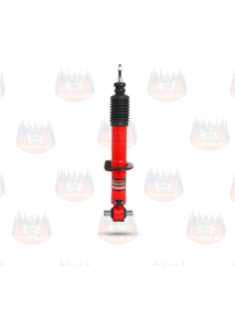 Set 4 amortizoare (2 fata/2 Spate) Pedders...