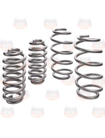 Ineos Grenadier 2023+ Set arcuri elicoidale...