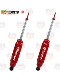 Set Amortizoare fata Profender Afrika Extreme