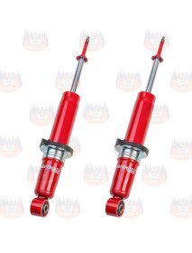 Amortizoare set fata Profender Afrika Tours