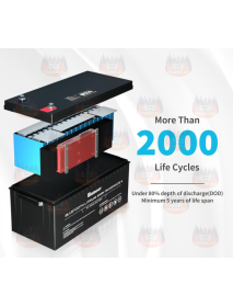 Baterie Renogy, 12 Volt 200Ah, Lithium-Iron Phosphate, bluetooth integrat
