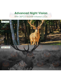 Camera de observare, RD700 cu WiFi si panou solar, 2K / 30 Mpx